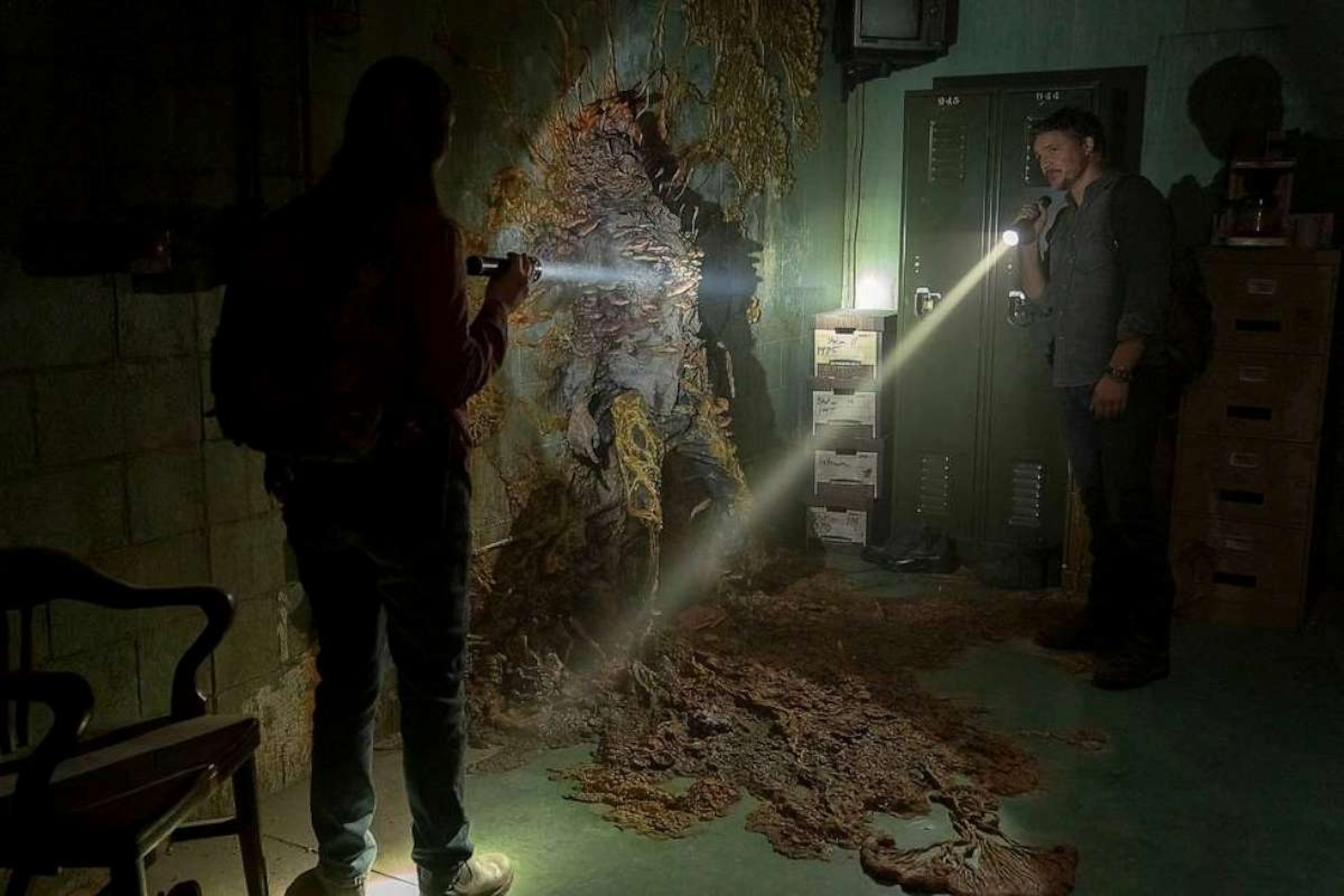 The science behind the zombie fungus from 'The Last of Us' - ABC News