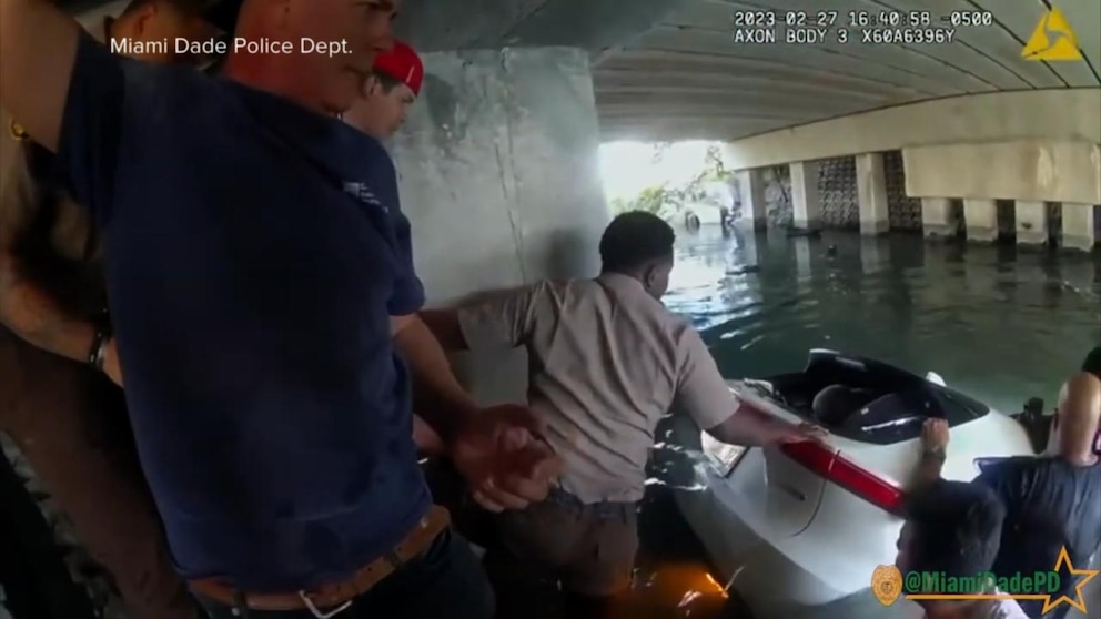 Video Officers save toddler from submerged car - ABC News