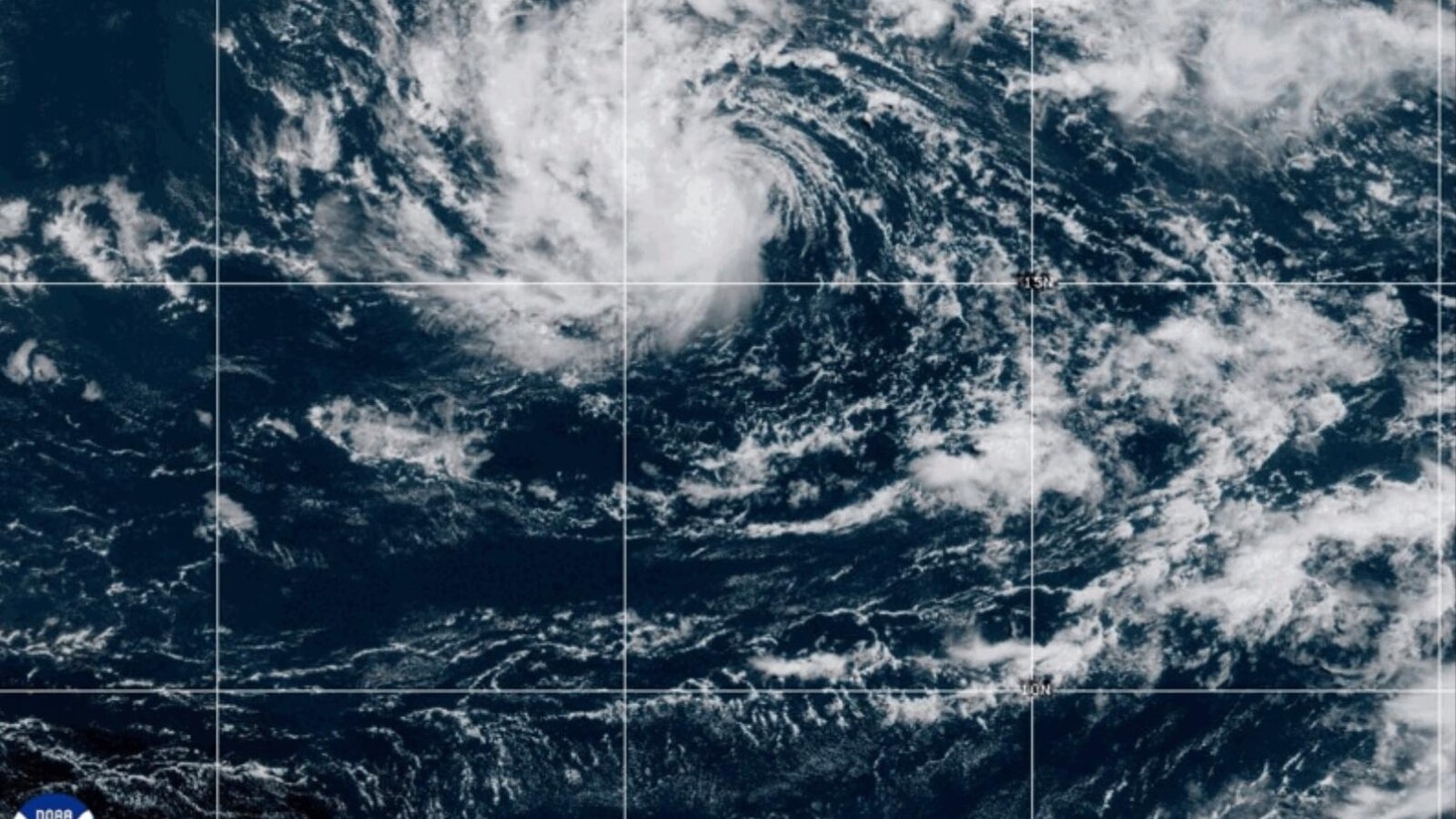 Длъжностните лица в северната Карибска се очакват да останат над