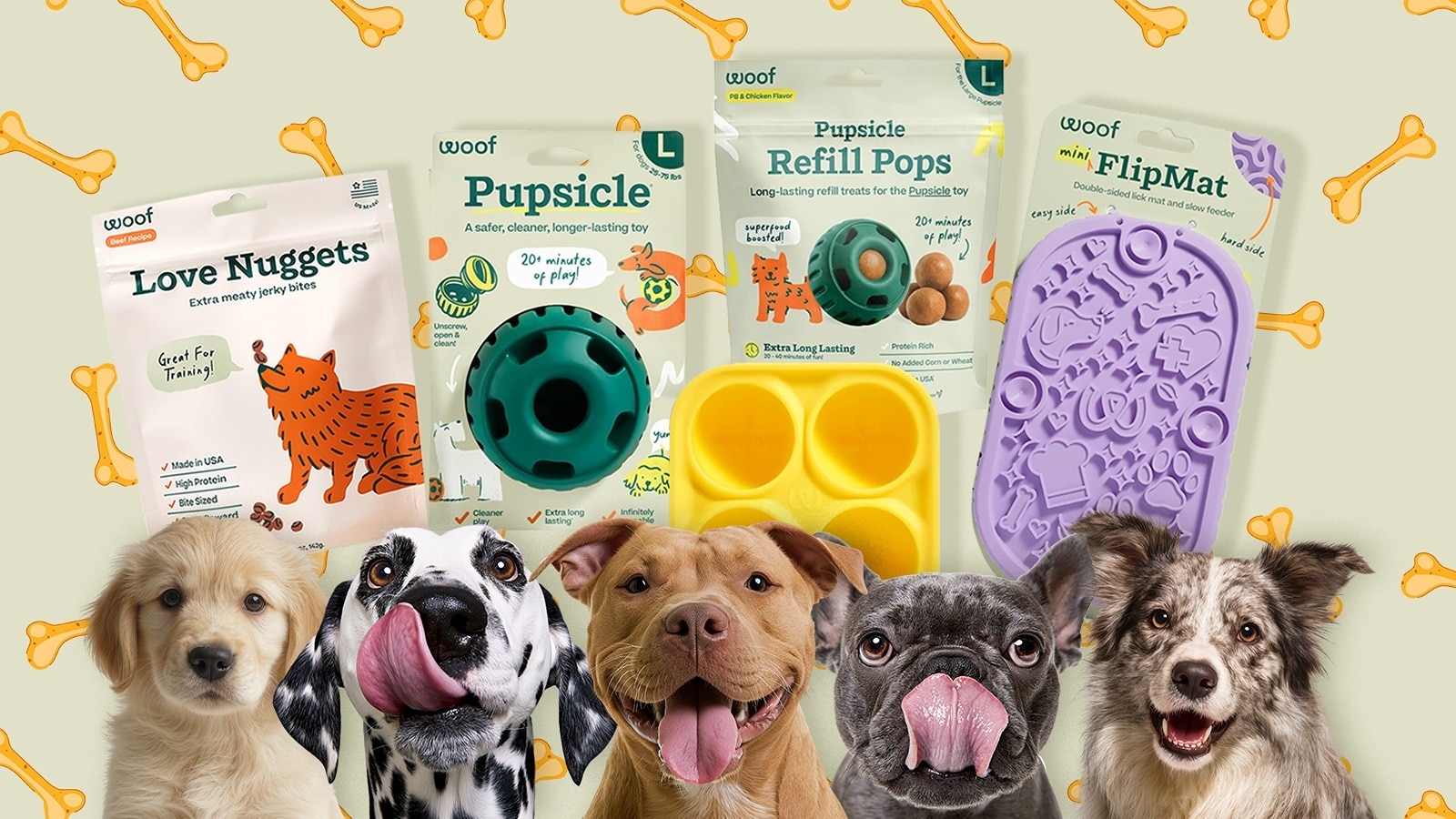 Dog enrichment: Veterinarian advice for improving your pup's quality of life