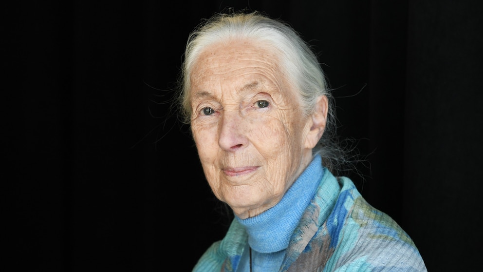 Jane Goodall, famed primatologist and conservationist, dies at 91