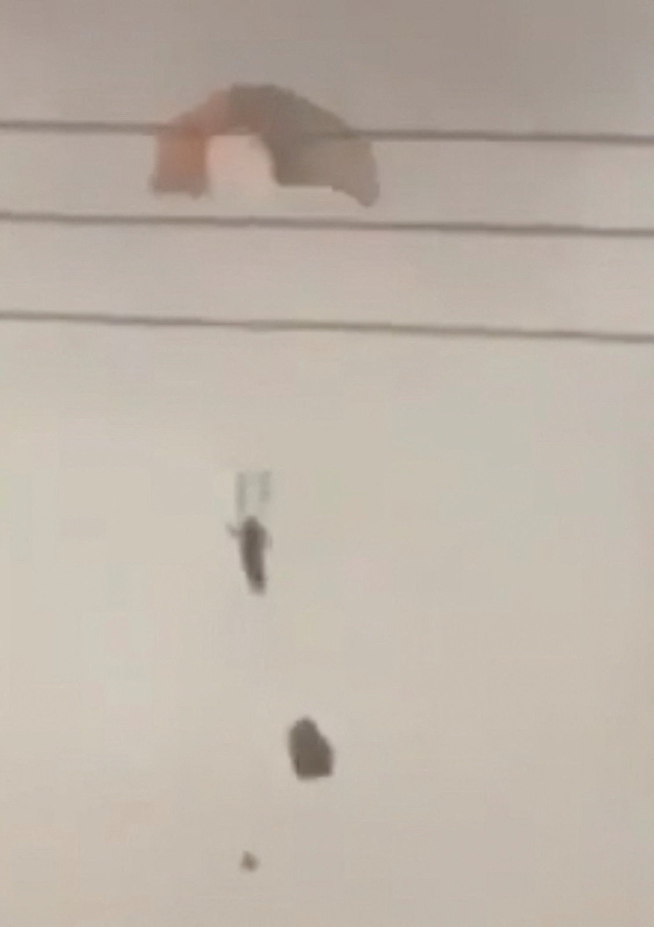 PHOTO: A person parachutes in Al Jahra, in this still image obtained from social media video