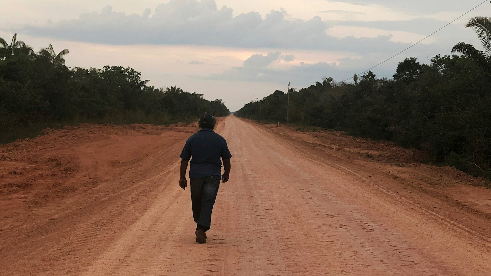 Brazil to invest $75 million in highway through Amazon and unveils environmental protection plan