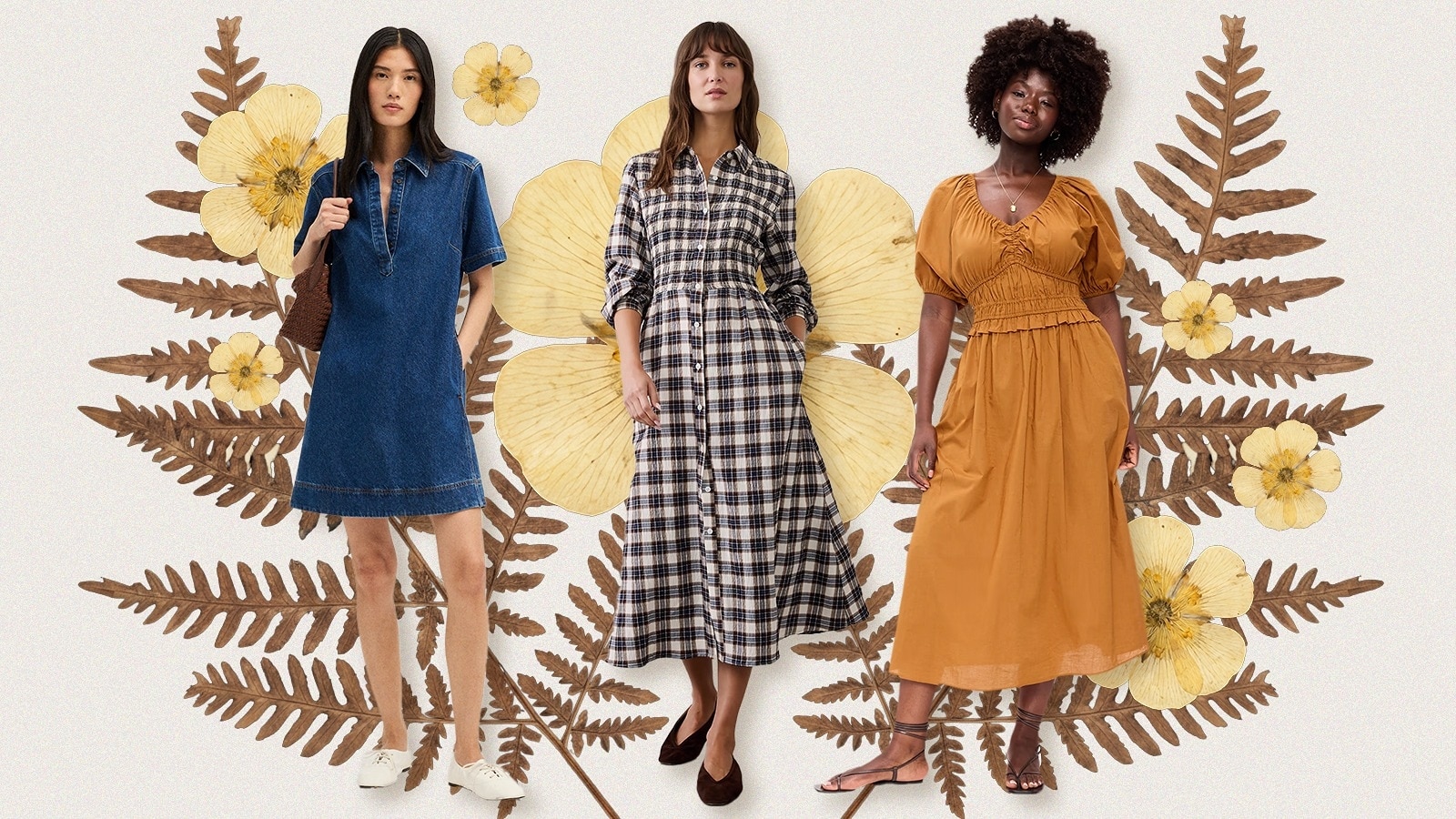 Best fall dresses for women