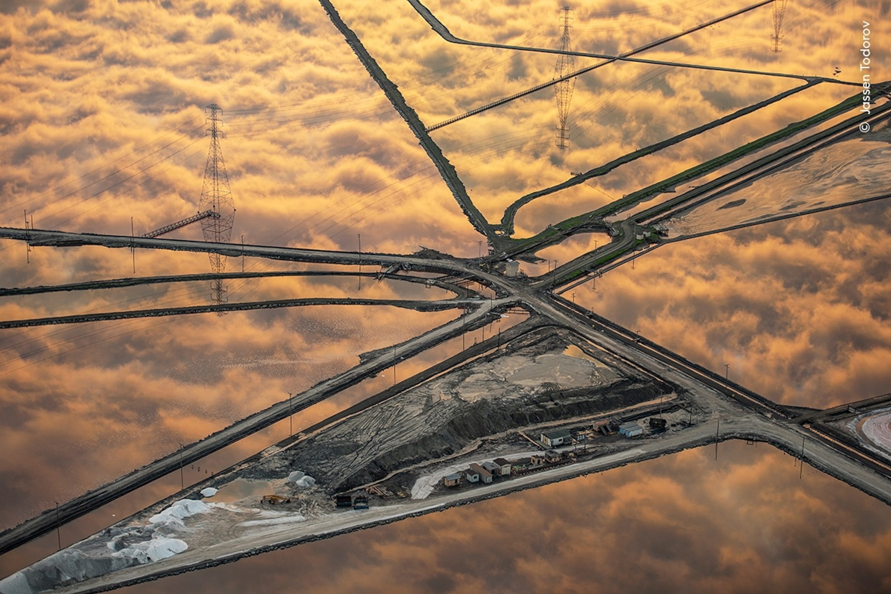PHOTO: 2025 Wildlife Photographer of the Year