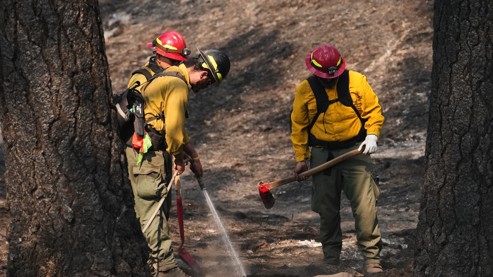  Officials warn wildland firefighters about the risks of using a supplement for smoke exposure