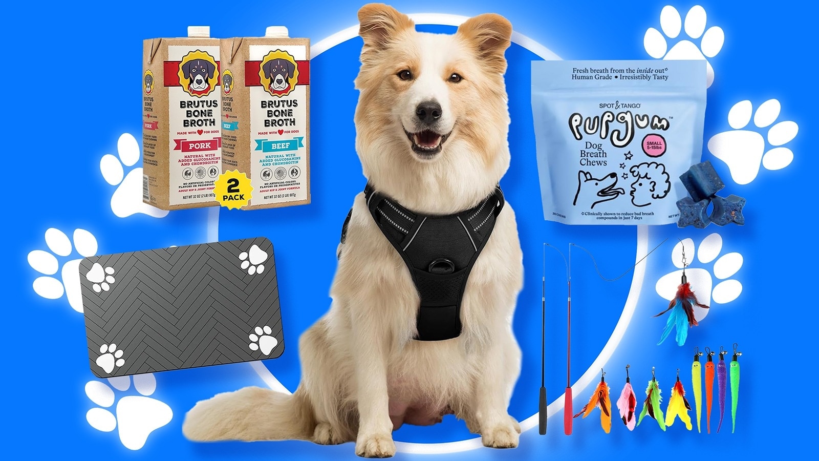 Prime Day 2026: Pet deals on cat and dog food, treats, toys and more