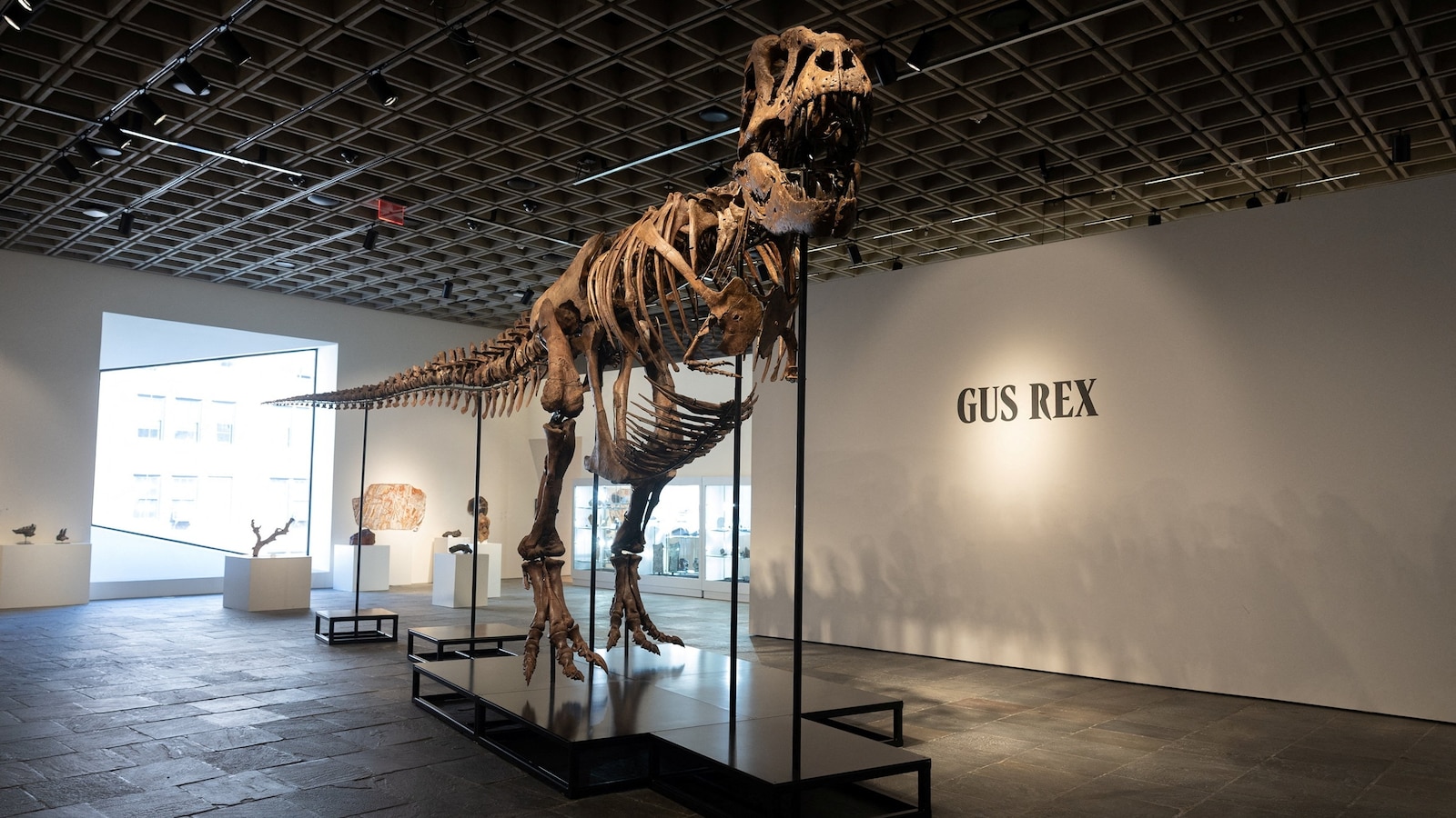 Gus, a 67-million-year-old T. rex skeleton, sold for $50.1 million at an auction, setting a world record price for a dinosaur sold at auction, according to Soth