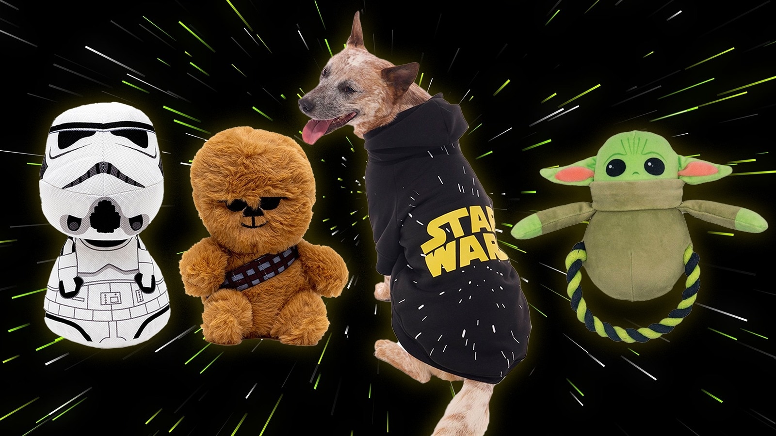 Celebrate May the Fourth with these "Star Wars" pet products