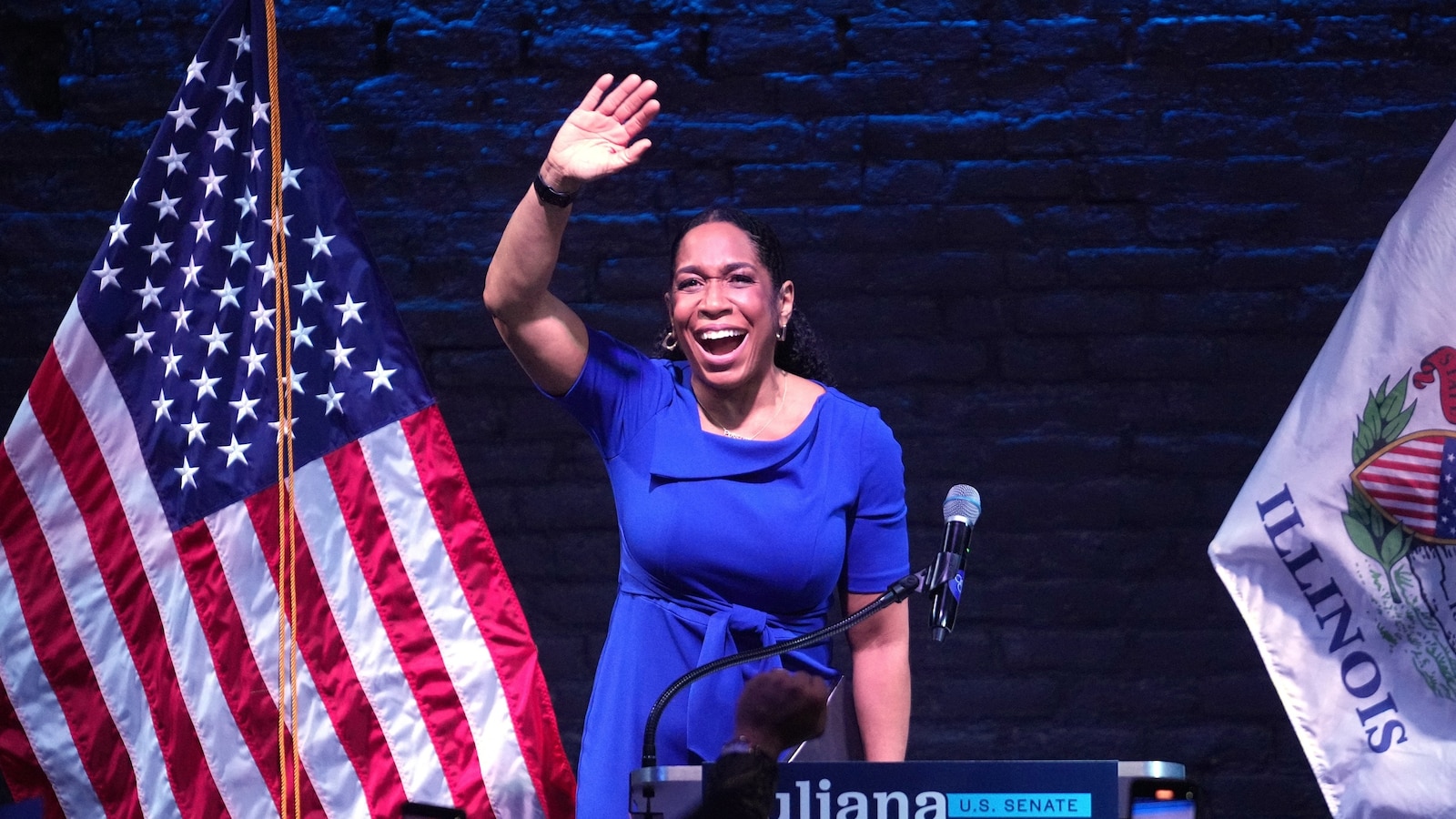 3 Erkenntnisse aus den Wahlergebnissen in Illinois, Juliana Strattons Sieg
