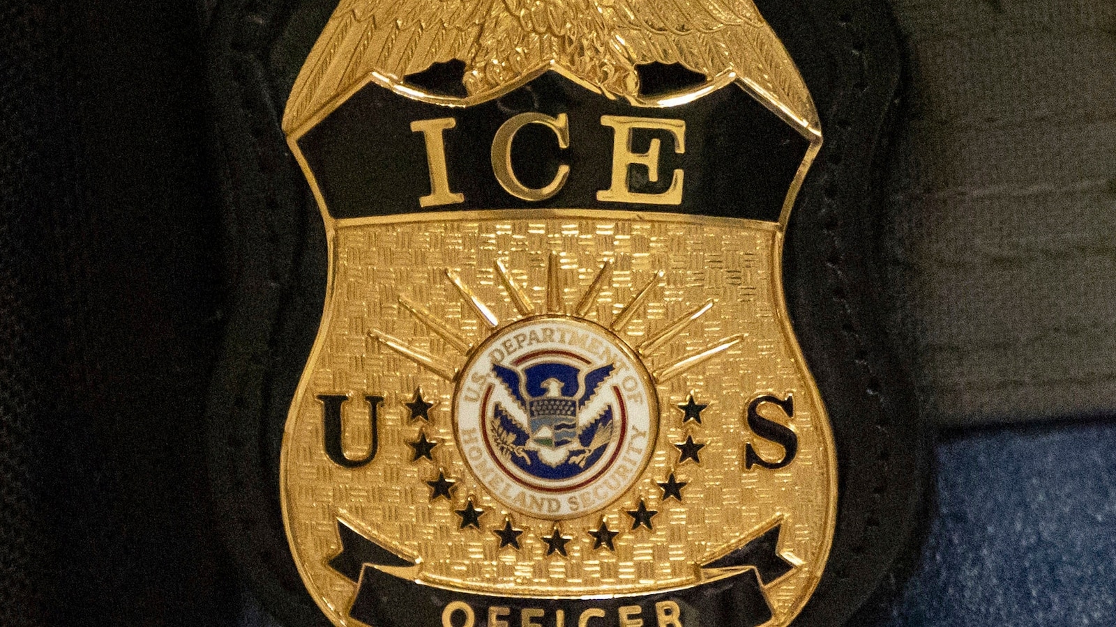  ICE pitches legal insurance to help shield local officers who make arrests