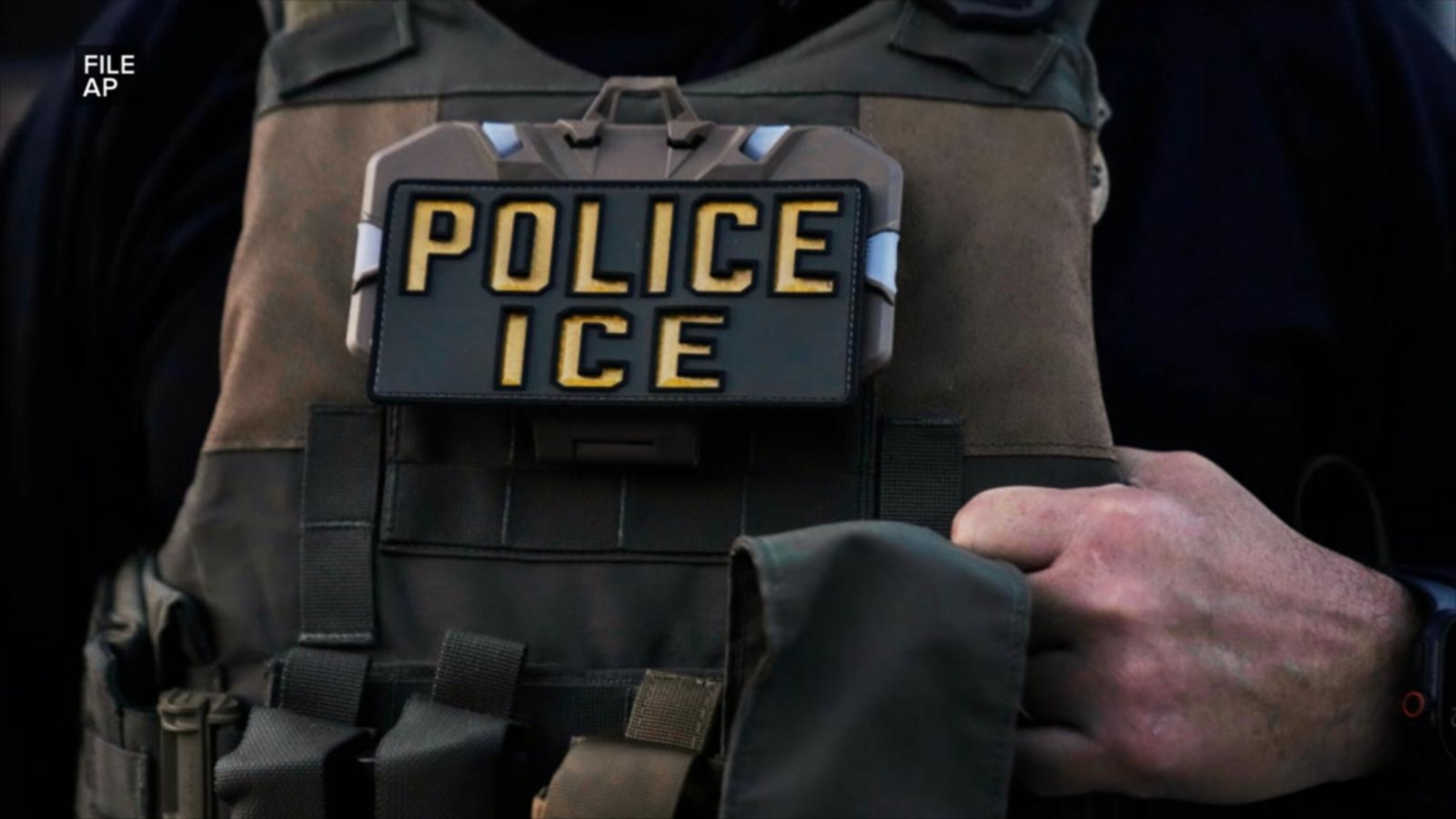 Video Immigration crackdown underway in New Orleans, Minnesota