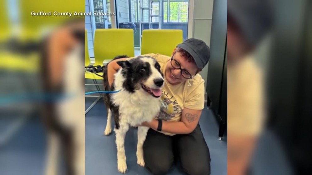WATCH:  Lost dog reunited with family after 1,000-mile journey